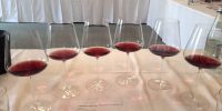 Degustazione Masterclass S. Maddalena